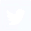 Twitter Logo